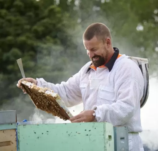 Pčelarski poslovi po godišnjim dobima