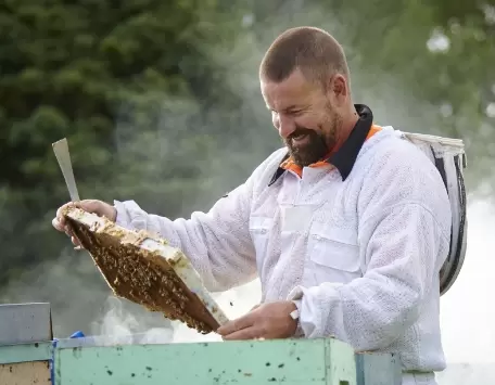 Pčelarski poslovi po godišnjim dobima