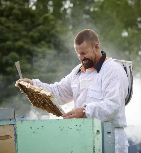 Beekeeping jobs by season