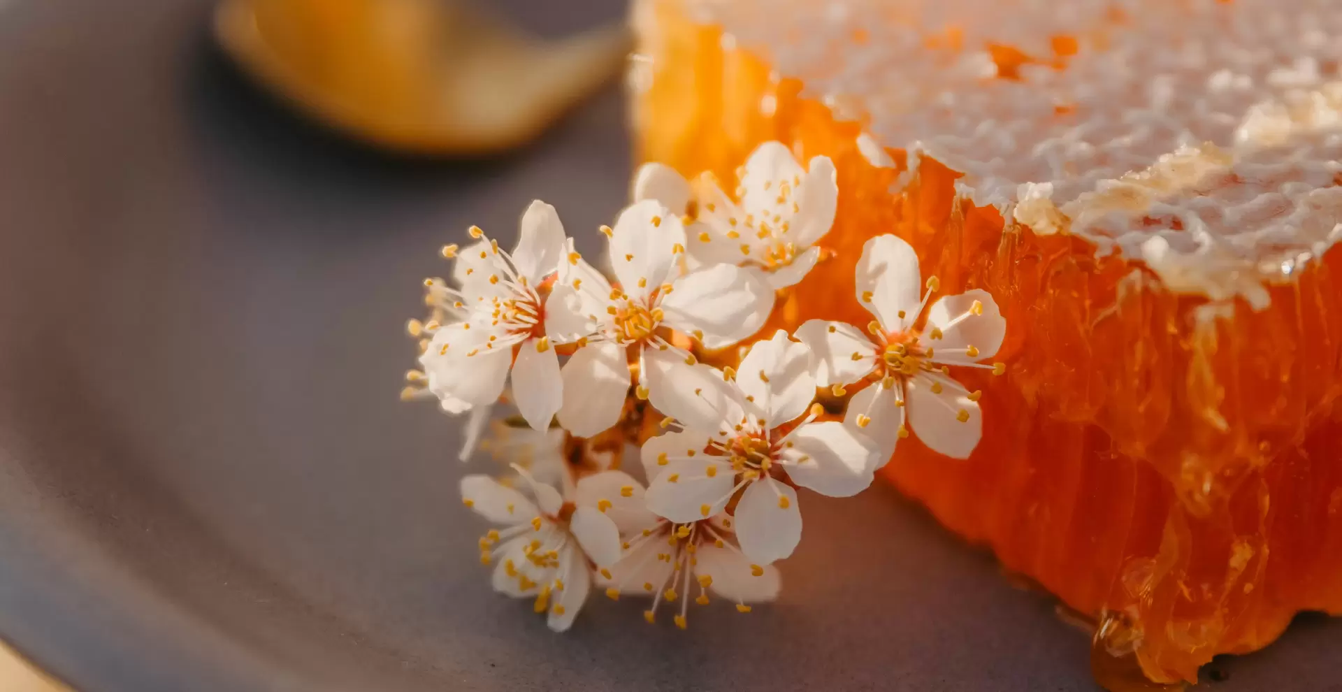 Mānuka Med snaga prirode